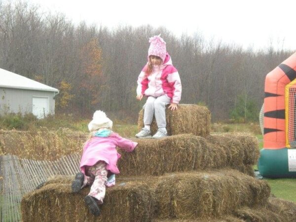 Haunted Hayride at Wheatfield Pumpkin Farm