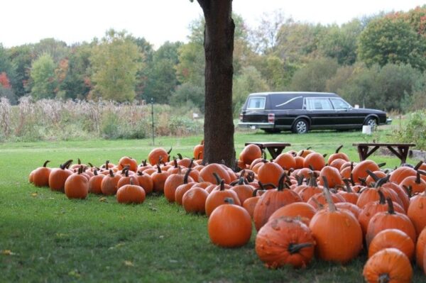 Haunted Hayride at Wheatfield Pumpkin Farm