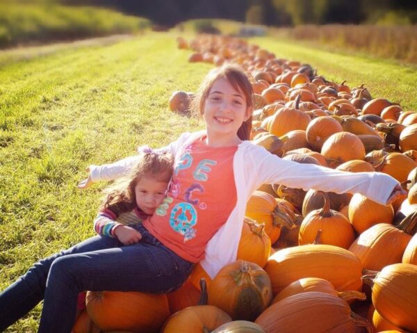 Haunted Hayride at Wheatfield Pumpkin Farm