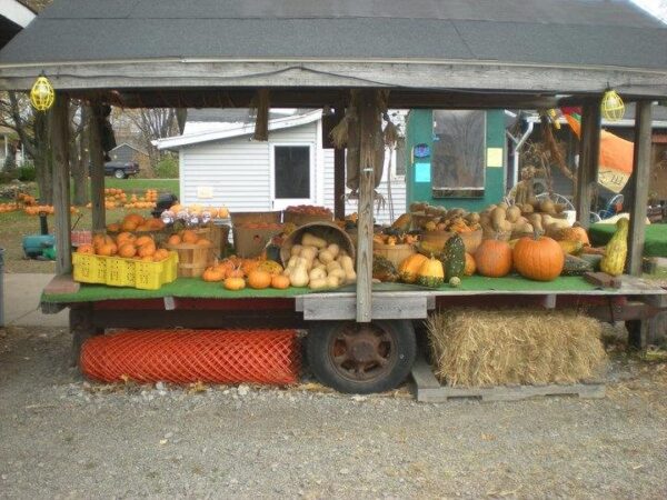 Haunted Hayride at Wheatfield Pumpkin Farm