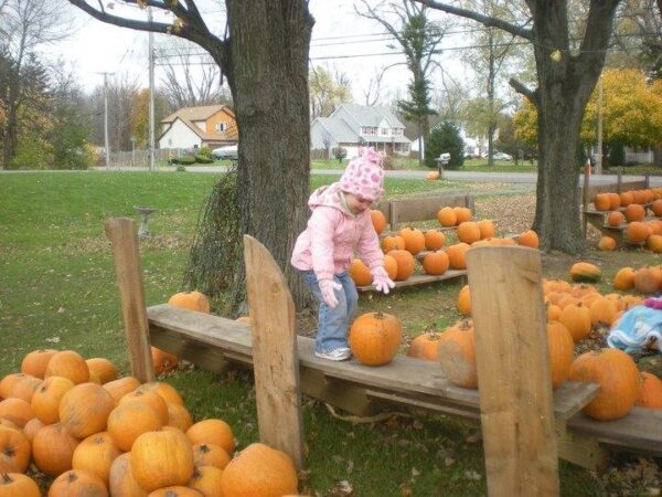 Haunted Hayride at Wheatfield Pumpkin Farm