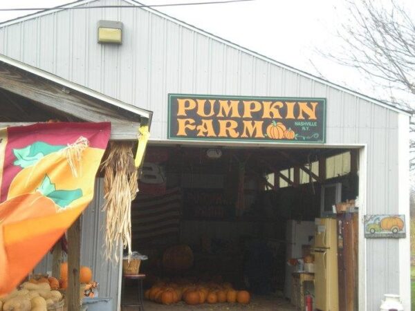 Haunted Hayride at Wheatfield Pumpkin Farm