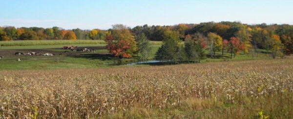 Wilke's Haunted Weekends & Corn Maze