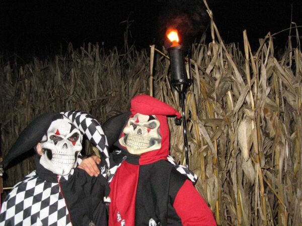 Willow Springs Haunted Corn Maze