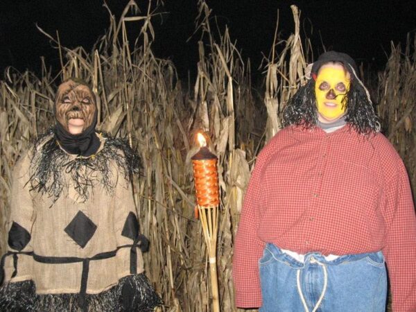 Willow Springs Haunted Corn Maze