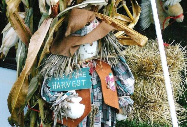 Willow Springs Haunted Corn Maze