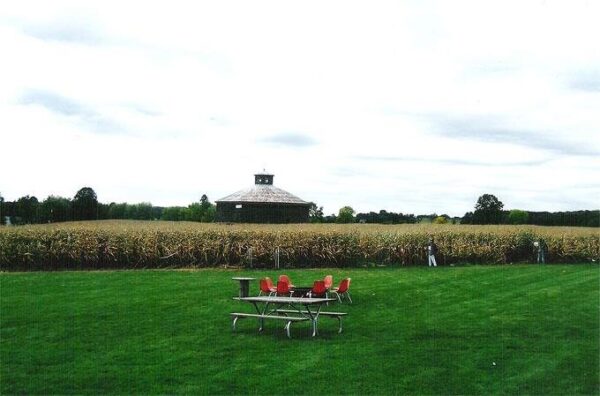 Willow Springs Haunted Corn Maze