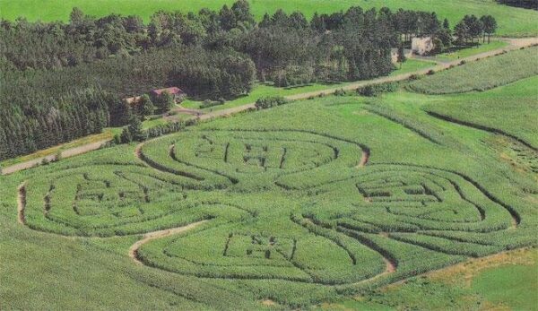 Willow Springs Haunted Corn Maze