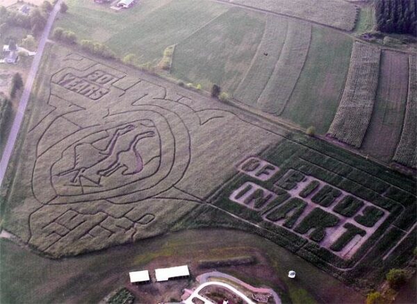 Willow Springs Haunted Corn Maze