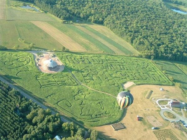 Willow Springs Haunted Corn Maze