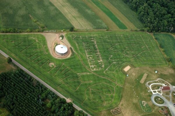 Willow Springs Haunted Corn Maze