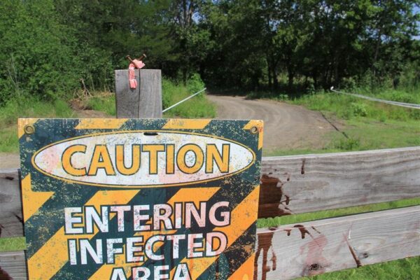Zombie Safari Dallas