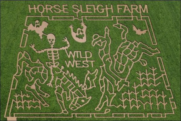 Horse Sleigh Farm Corn Maze, Pumpkin Picking and Hayrides