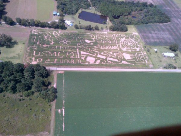 Sonshine Family Farms