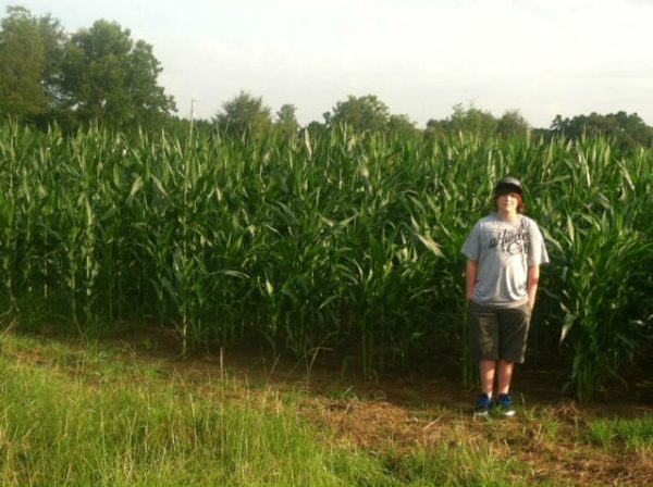 Sonshine Family Farms