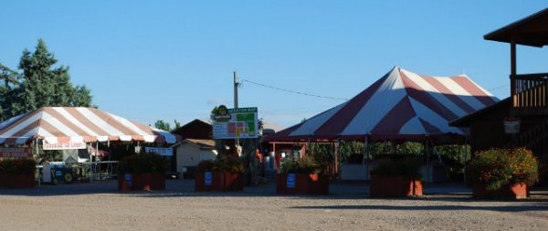 Apple Annie's Orchard