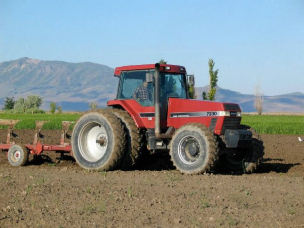 Black Island Farms Corn Maze and Harvest Festival