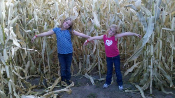 Black Island Farms Corn Maze and Harvest Festival