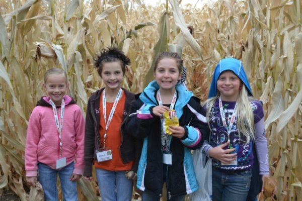 Black Island Farms Corn Maze and Harvest Festival