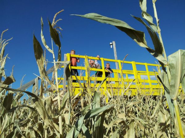 Black Island Farms Corn Maze and Harvest Festival