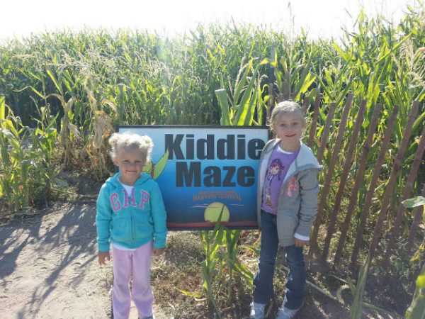 Black Island Farms Corn Maze and Harvest Festival