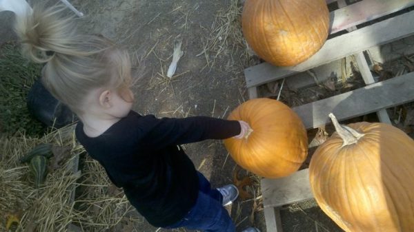 Family Fun At Red Mill Farms