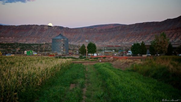 Staheli Family Farm