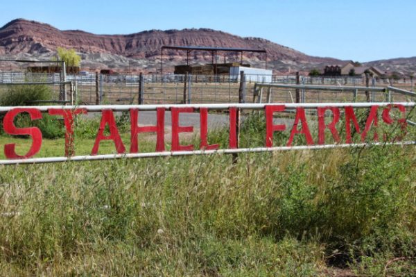 Staheli Family Farm
