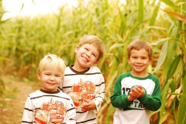 The Farmstead Corn Maze and Pumpkin Festival