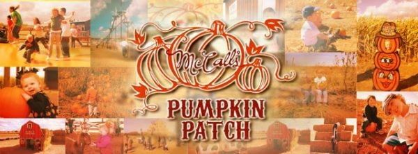 McCall's Pumpkin Patch & Corn Maze