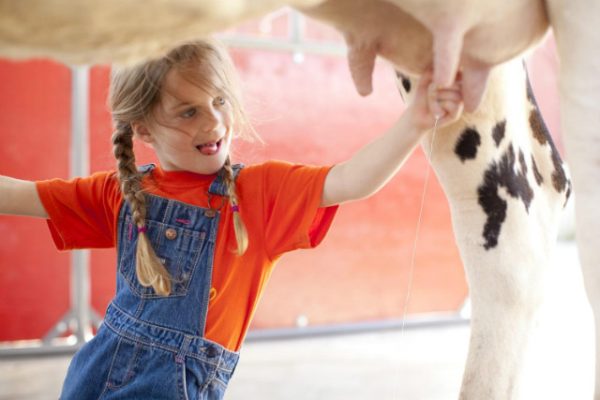 Mulberry Lane Farm