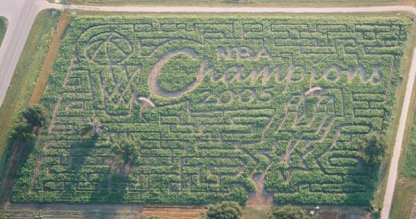 South Texas Maize