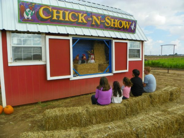 St. Bernard Farms Corn Maze & Pumpkin Patch