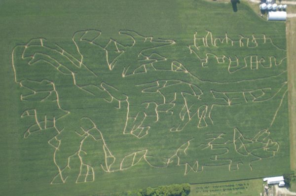 Talladay Farms Corn Maze