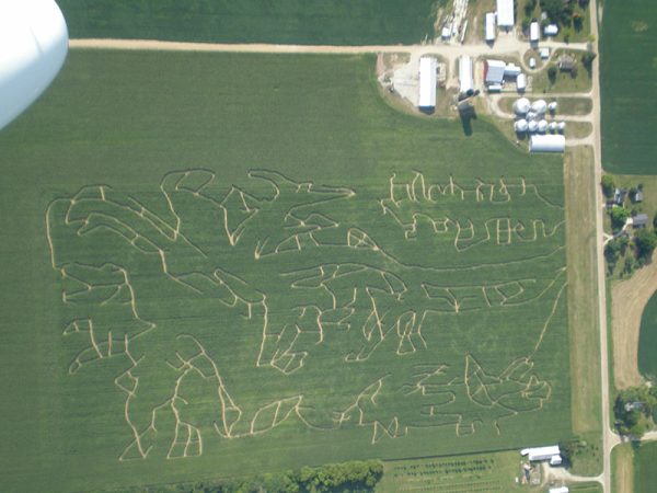 Talladay Farms Corn Maze