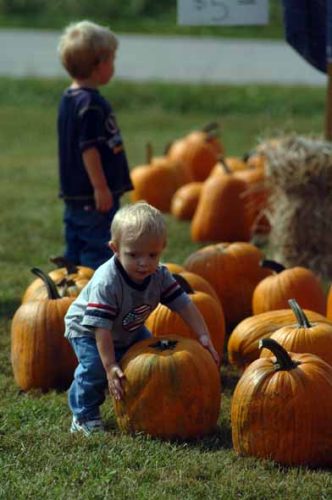 Hinton's Orchard & Farm Market