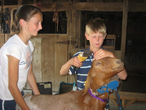 Pumpkin Days on the Farm