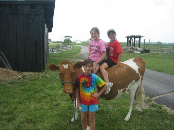 Pumpkin Days on the Farm