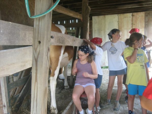 Pumpkin Days on the Farm