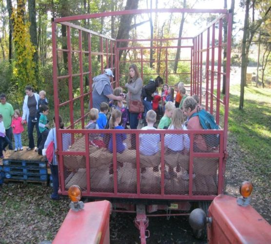 Fall Festival