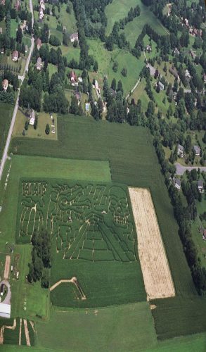 Hurricane Hill Farm Corn Maze