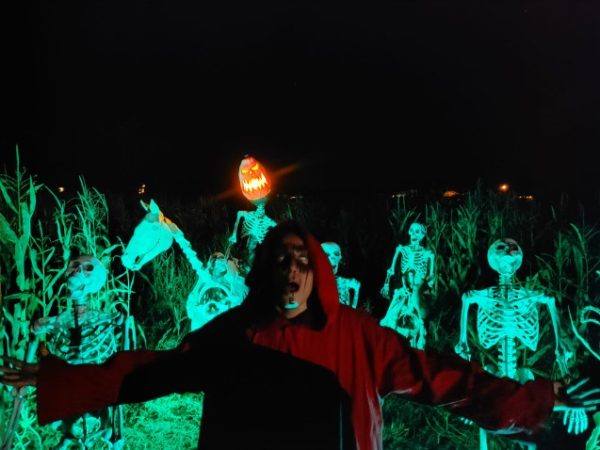 Happy Pumpkin Corn Maze