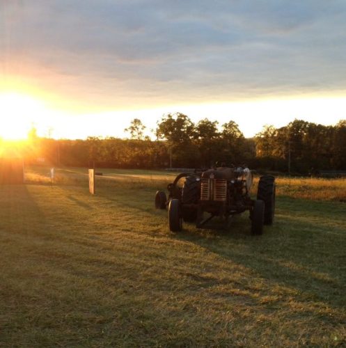 Froehlich's Farm Fall Festival