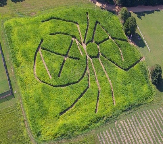 Cedar Hill Farm's Haunted Hayride & Trail of Terror