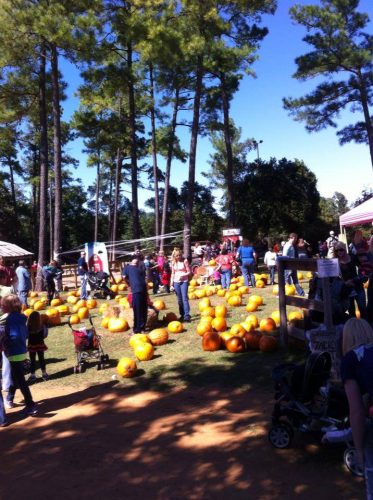 Thrill @ The Mill Fall Festival