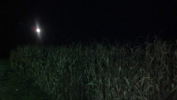 Todd Family Fun Farm