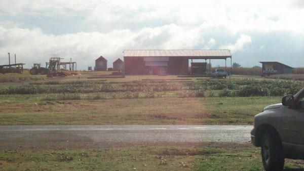 Todd Family Fun Farm