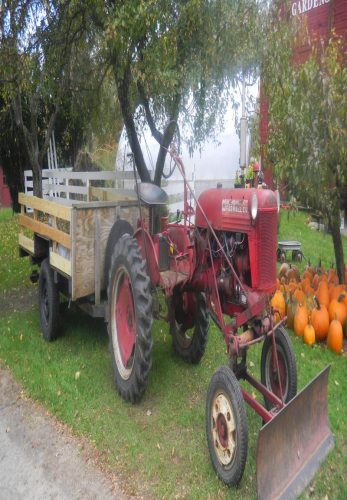 Red Barn Gardens U-Pic Pumpkin Patch