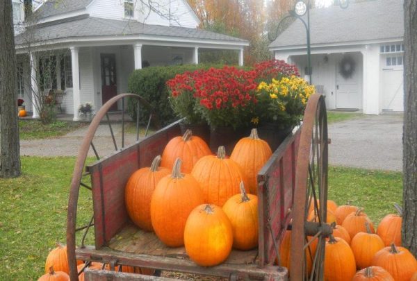 Red Barn Gardens U-Pic Pumpkin Patch