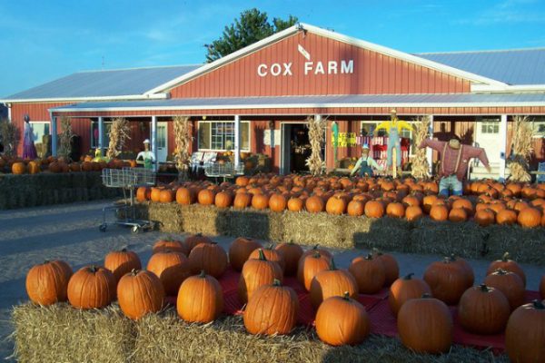 Cox Farm Wichita